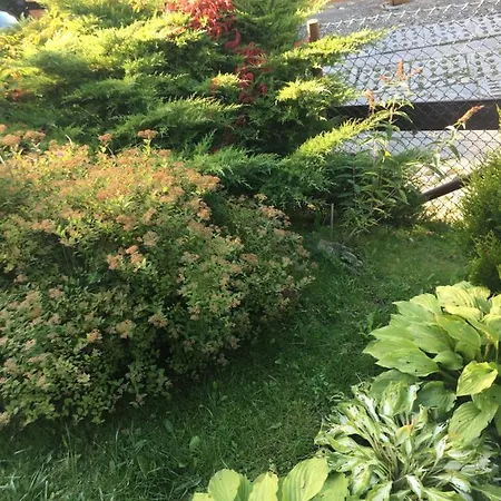 Sloneczny Дом отдыха Бренна