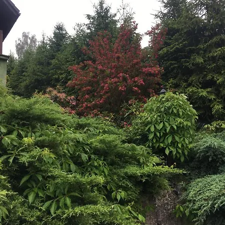 Sloneczny Бренна