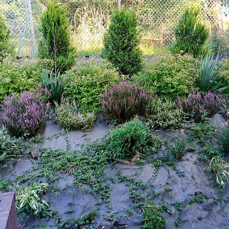 Hébergement de vacances Sloneczny Brenna