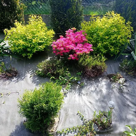 Дом отдыха Sloneczny Бренна