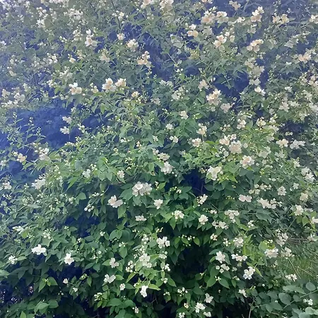 Дом отдыха Sloneczny Бренна