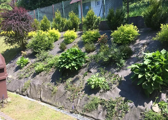 Dom wakacyjny Całoroczny