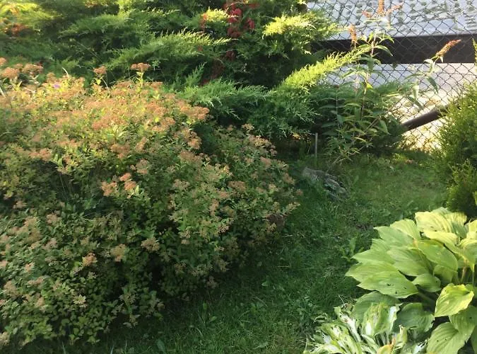 Całoroczny Dom wakacyjny Brenna