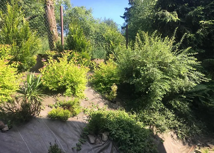 Dom wakacyjny Całoroczny *