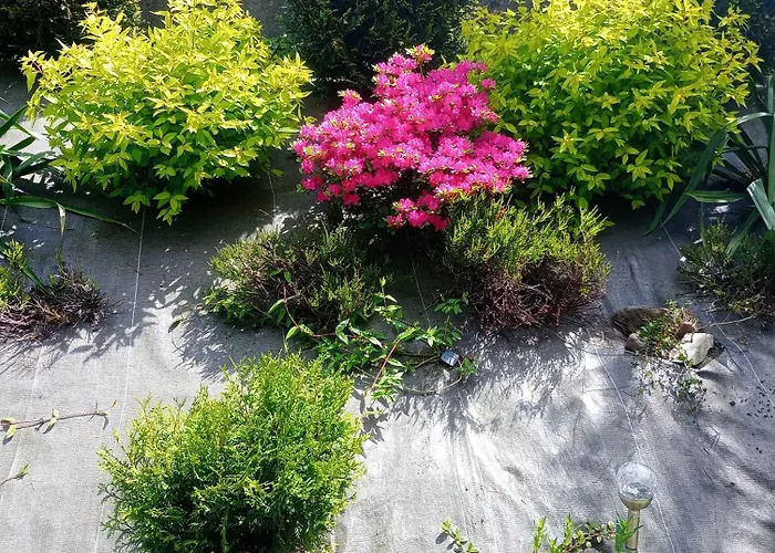 Prázdninový dům Sloneczny Brenna