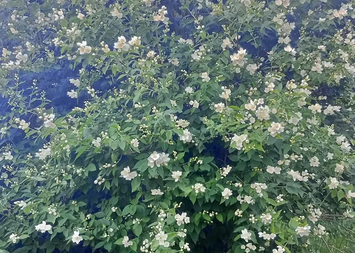 Holiday home Sloneczny Brenna